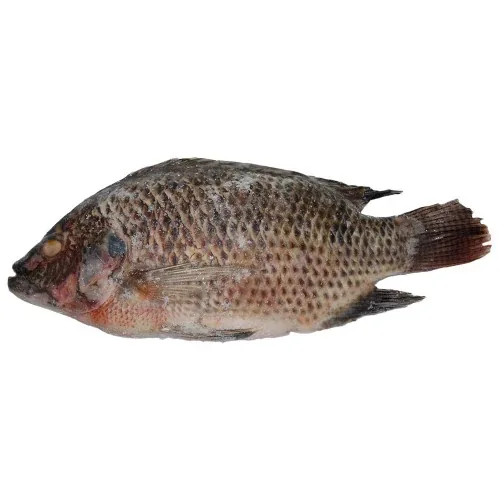 Whole freshwater fish product example